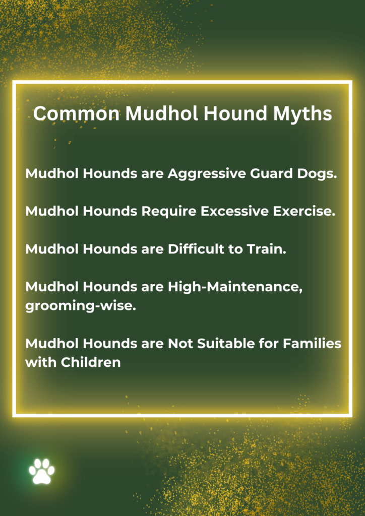 mudhol hound informative